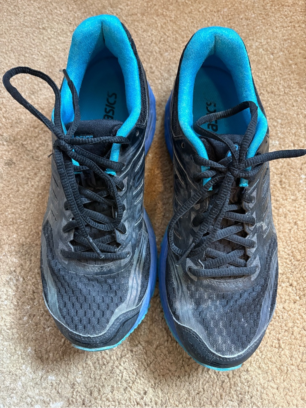 Asics Black & Blue Women's Dynamic Duomax